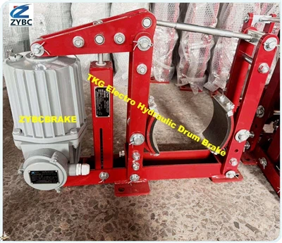 বুলগেরিয়ার গ্রাহকদের জন্য TKG ইলেক্ট্রো হাইড্রোলিক ড্রাম ব্রেক